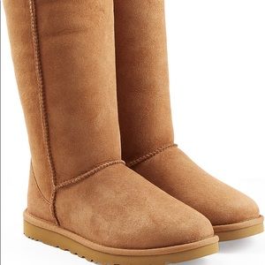 Tall Tan Uggs